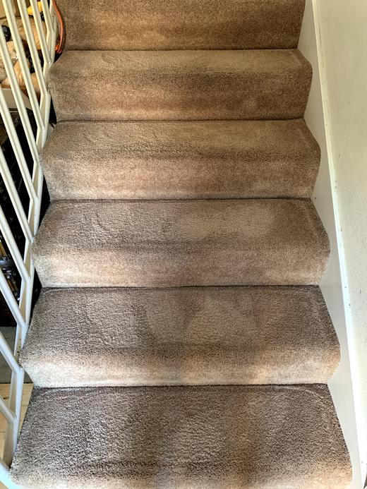 Carpeted staircase after cleaning, fresh and even